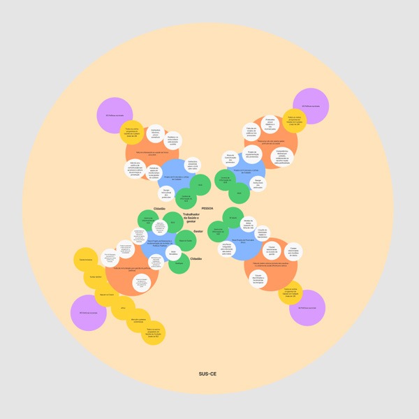 Pétalas da Mandala Convergente – Coordenadoria da Gestão do Cuidado